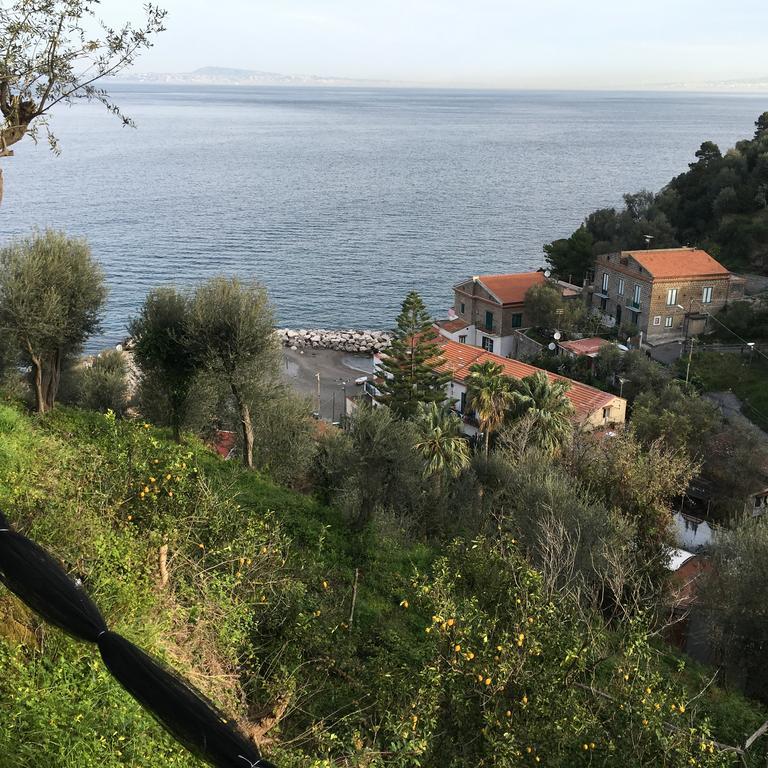 Villa Rosmary Península Sorrentina Exterior foto